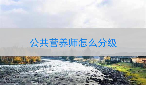 公共营养师怎么分级