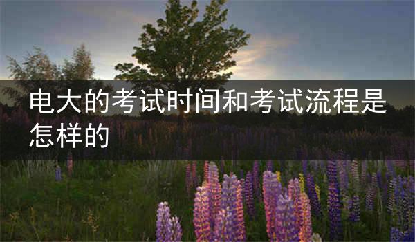 电大的考试时间和考试流程是怎样的