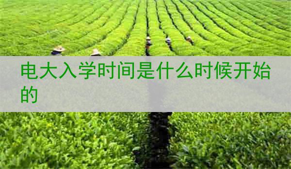 电大入学时间是什么时候开始的