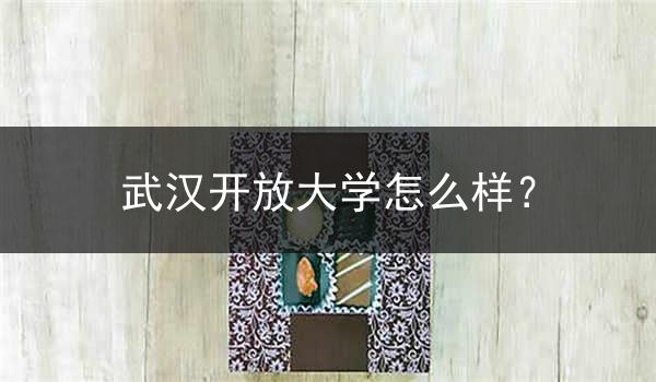 武汉开放大学怎么样？