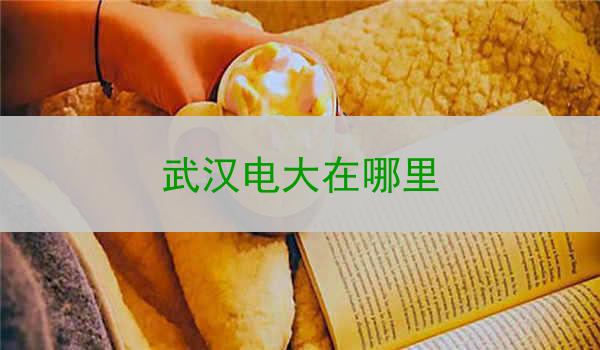 武汉电大在哪里