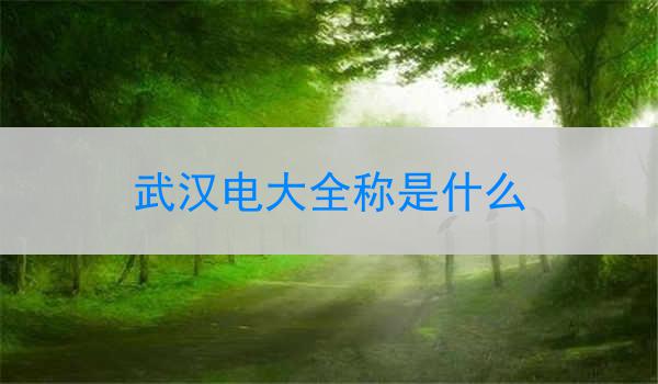 武汉电大全称是什么