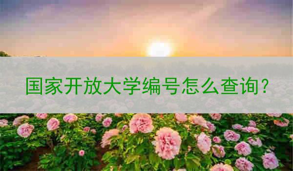 国家开放大学编号怎么查询？