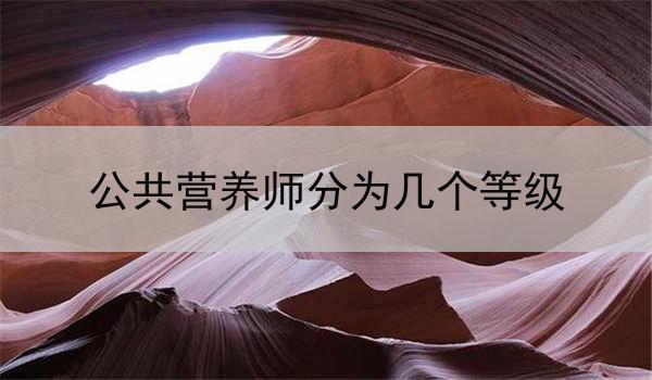 公共营养师分为几个等级