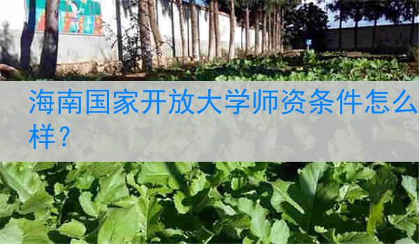 海南国家开放大学师资条件怎么样？