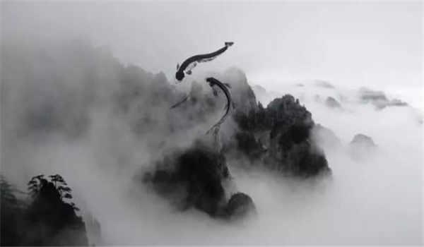 国家开放大学可以考什么证书？