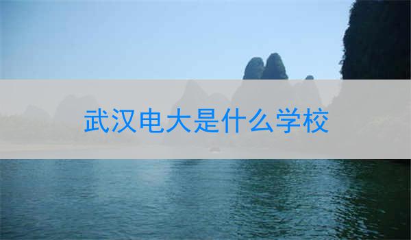 武汉电大是什么学校