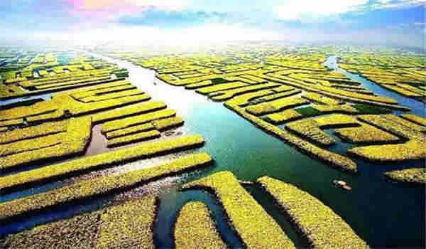 国家开放大学适合什么人报考？