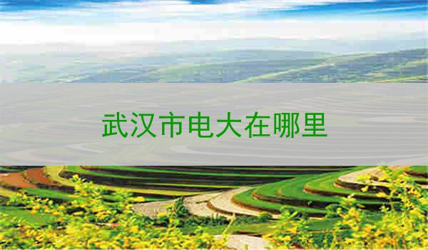 武汉市电大在哪里