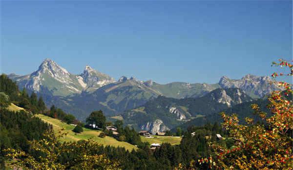 电大什么时候开学