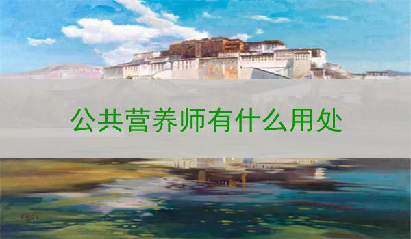 公共营养师有什么用处