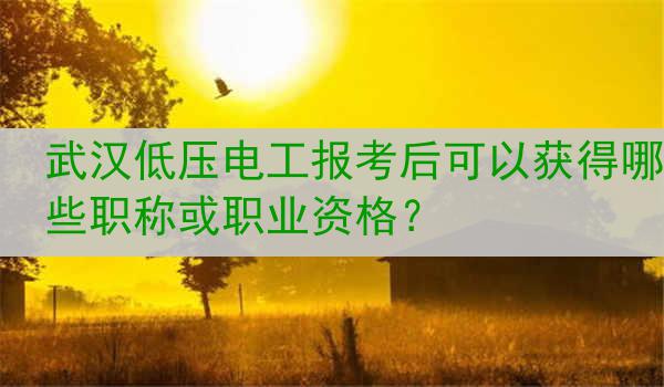 武汉低压电工报考后可以获得哪些职称或职业资格？
