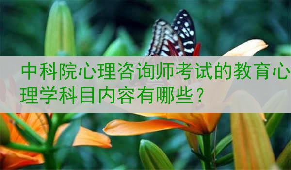 中科院心理咨询师考试的教育心理学科目内容有哪些？