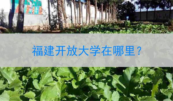 福建开放大学在哪里？