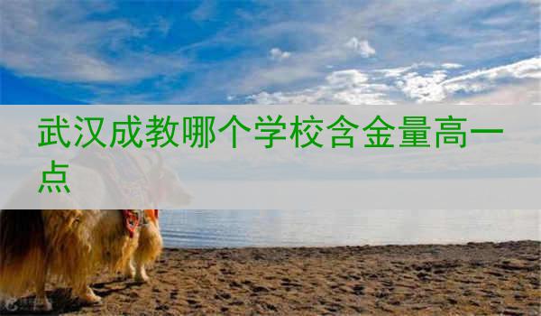 武汉成教哪个学校含金量高一点