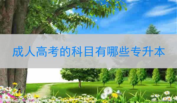 成人高考的科目有哪些专升本