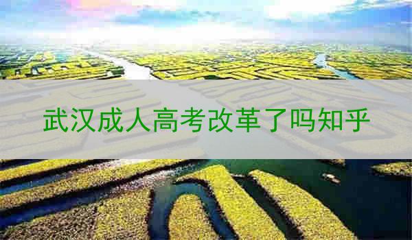 武汉成人高考改革了吗知乎