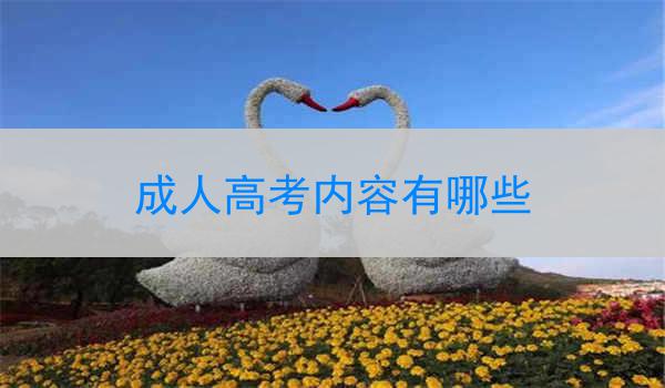 成人高考内容有哪些