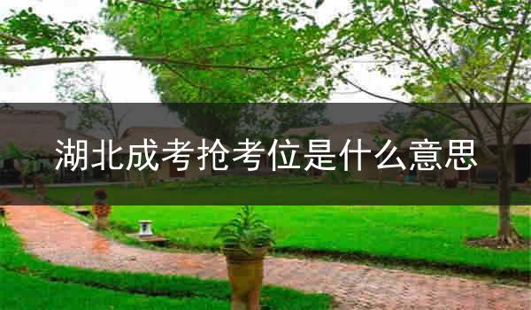 湖北成考抢考位是什么意思
