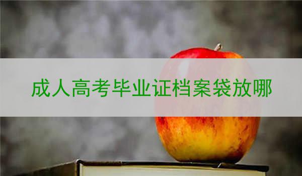 成人高考毕业证档案袋放哪