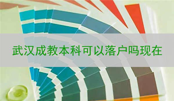 武汉成教本科可以落户吗现在