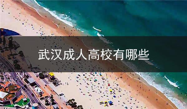 武汉成人高校有哪些