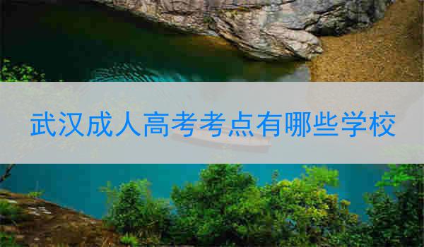 武汉成人高考考点有哪些学校