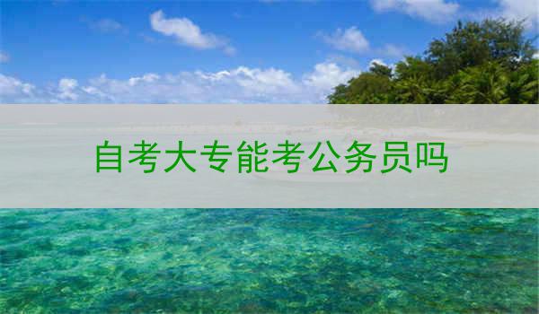 自考大专能考公务员吗