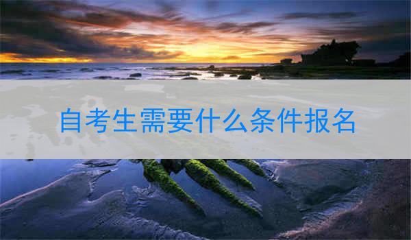 自考生需要什么条件报名