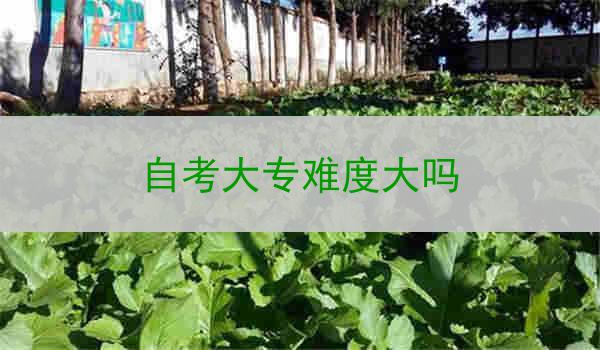 自考大专难度大吗