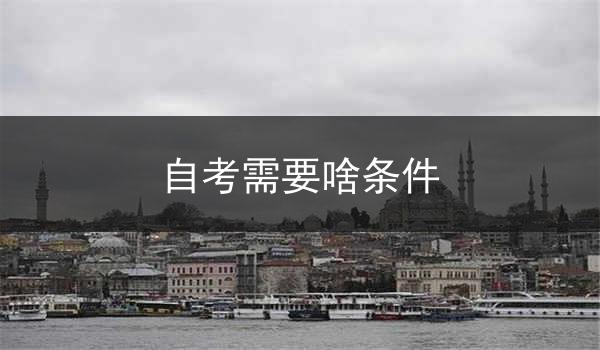 自考需要啥条件