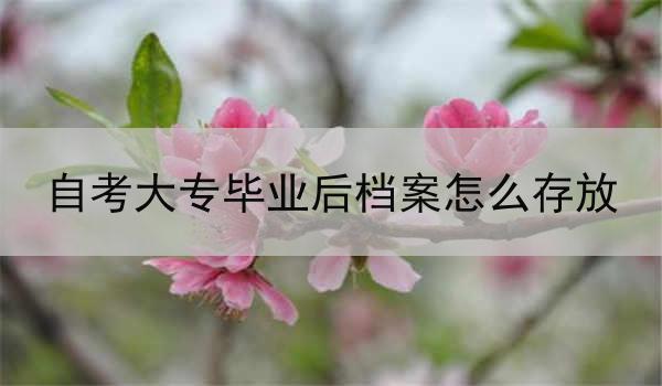 自考大专毕业后档案怎么存放