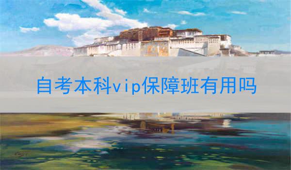自考本科vip保障班有用吗