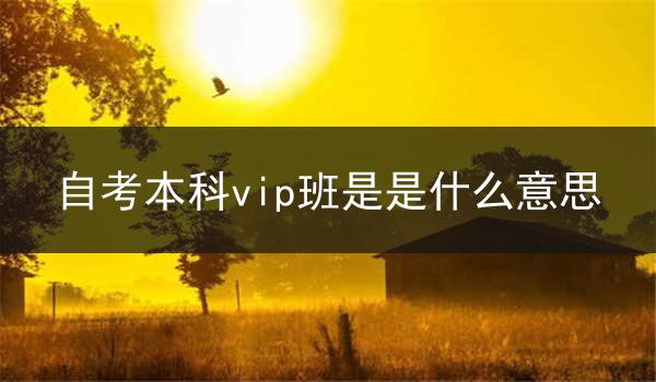 自考本科vip班是是什么意思