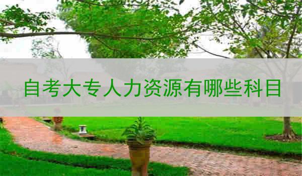 自考大专人力资源有哪些科目