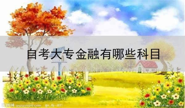 自考大专金融有哪些科目
