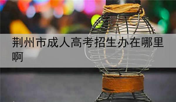荆州市成人高考招生办在哪里啊