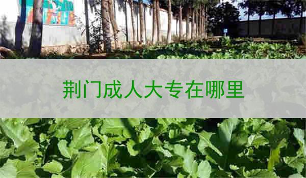 荆门成人大专在哪里