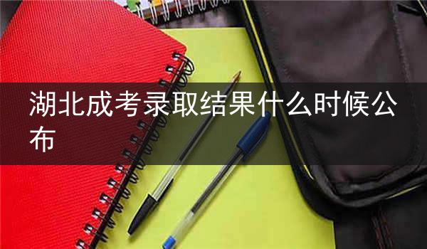 湖北成考录取结果什么时候公布