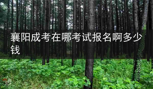 襄阳成考在哪考试报名啊多少钱