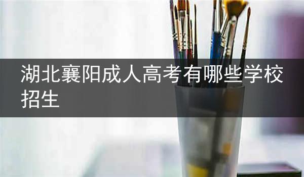 湖北襄阳成人高考有哪些学校招生