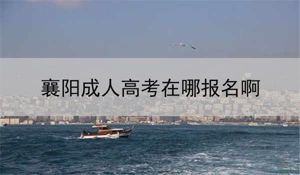 襄阳成人高考在哪报名啊