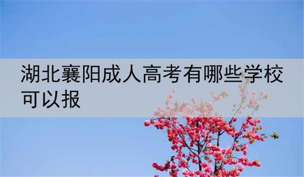 湖北襄阳成人高考有哪些学校可以报