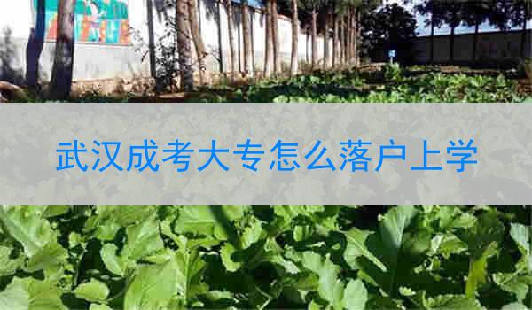 武汉成考大专怎么落户上学
