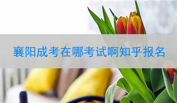 襄阳成考在哪考试啊知乎报名
