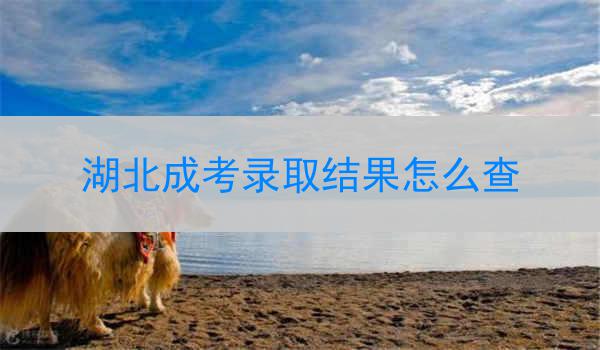 湖北成考录取结果怎么查