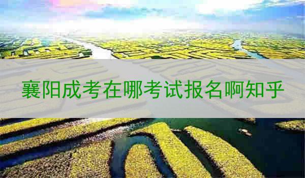 襄阳成考在哪考试报名啊知乎