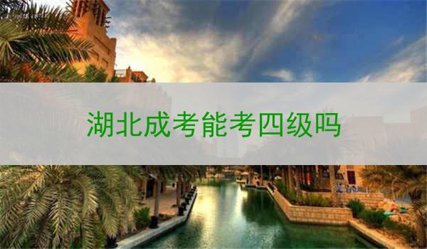 湖北成考能考四级吗