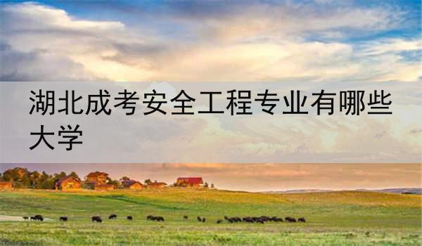 湖北成考安全工程专业有哪些大学