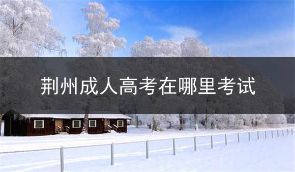 荆州成人高考在哪里考试